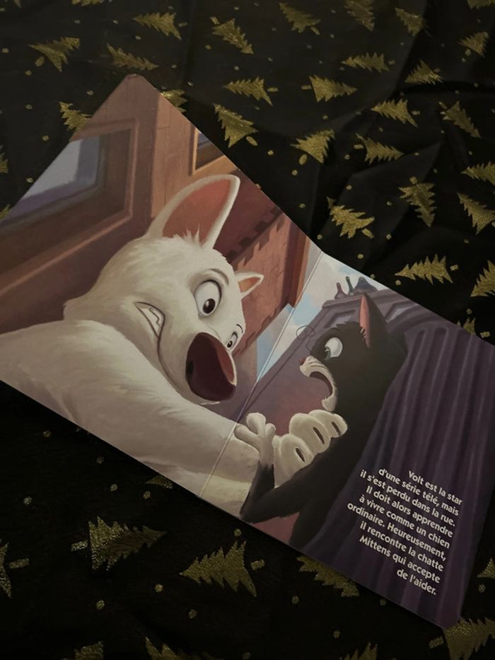 Disney volt - photo numéro 5