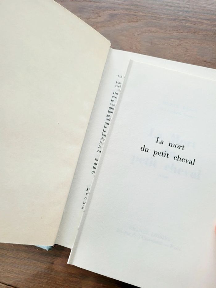 La mort du petit cheval - photo numéro 4