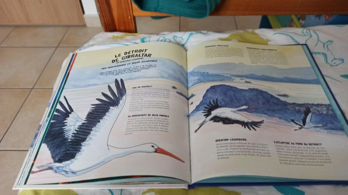 Livre Le tour du monde des bouts du monde - photo numéro 9