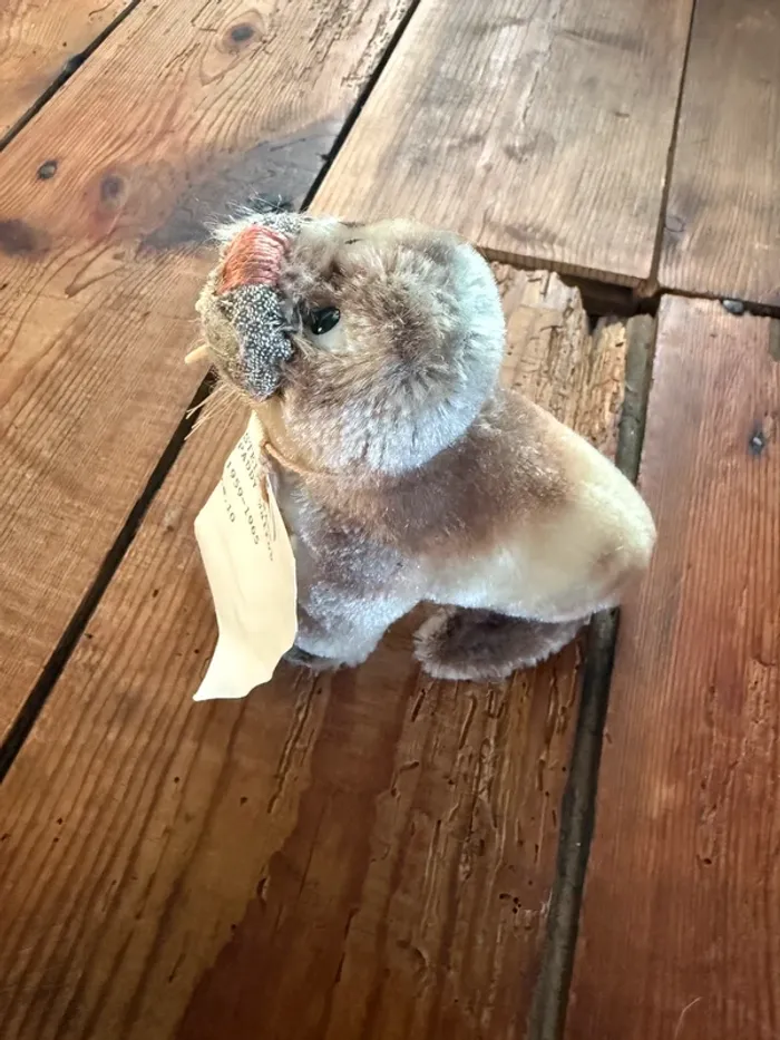 Peluche rigide ancienne Steiff Paddy morse Walrob 10cm vintage collection - photo numéro 4