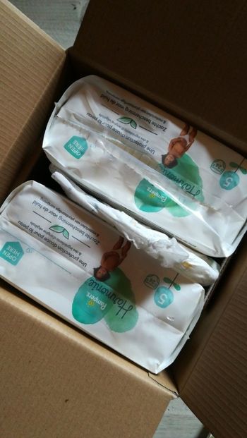 Pampers harmonie T5