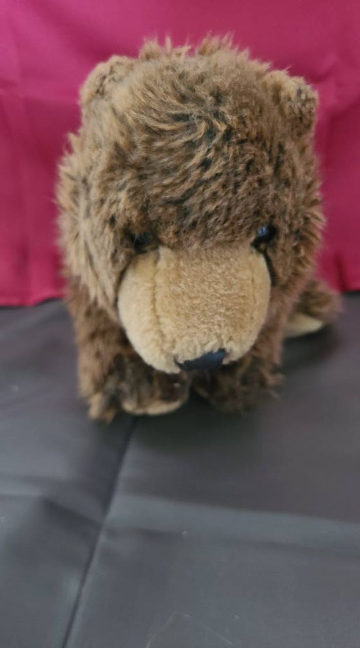 Ours en peluche brun Grizzly de Wild Republic