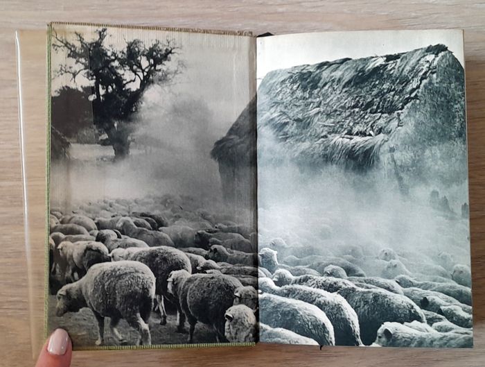 les brebis du seigneur - roman de Ferreira de castro - photo numéro 7