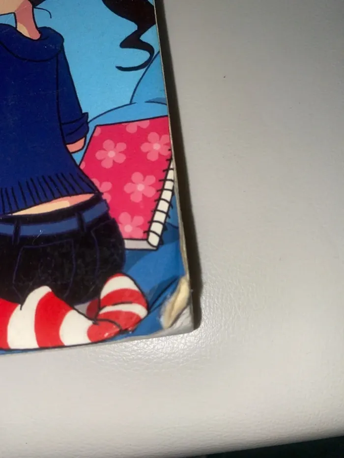 Le carnet d’Allie - photo numéro 3