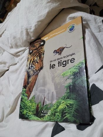 Un roi dans la jungle le tigre