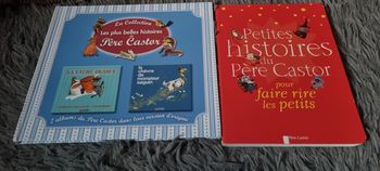 Lot 2 livres enfants les histoires du Père Castor