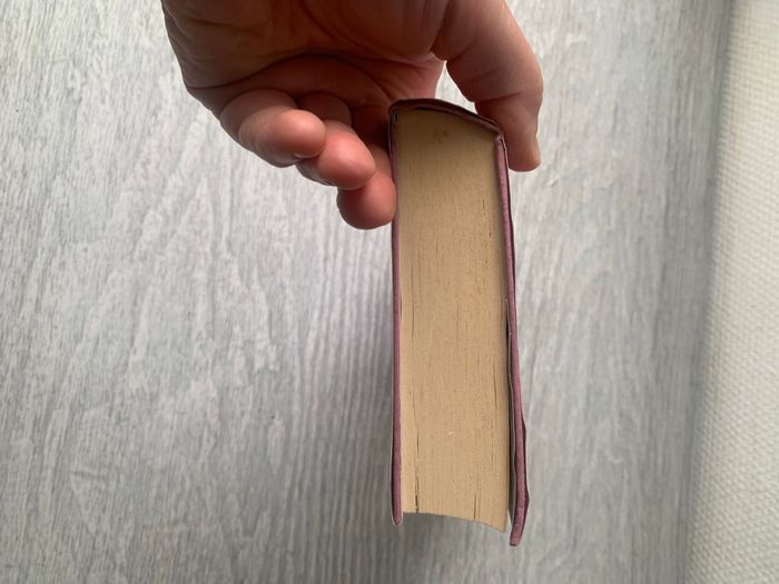 Livre Françoise Bourdin : Un soupçon d’interdit - photo numéro 4