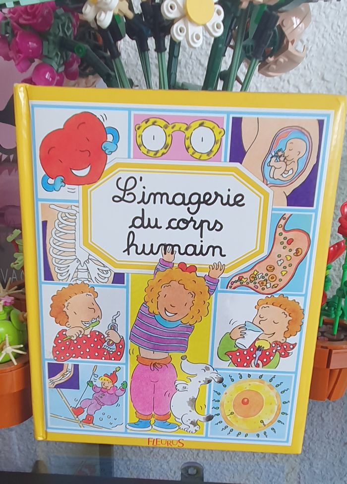Livre L'imagerie du corps humain