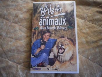 LE BETISIER DES ANIMAUX