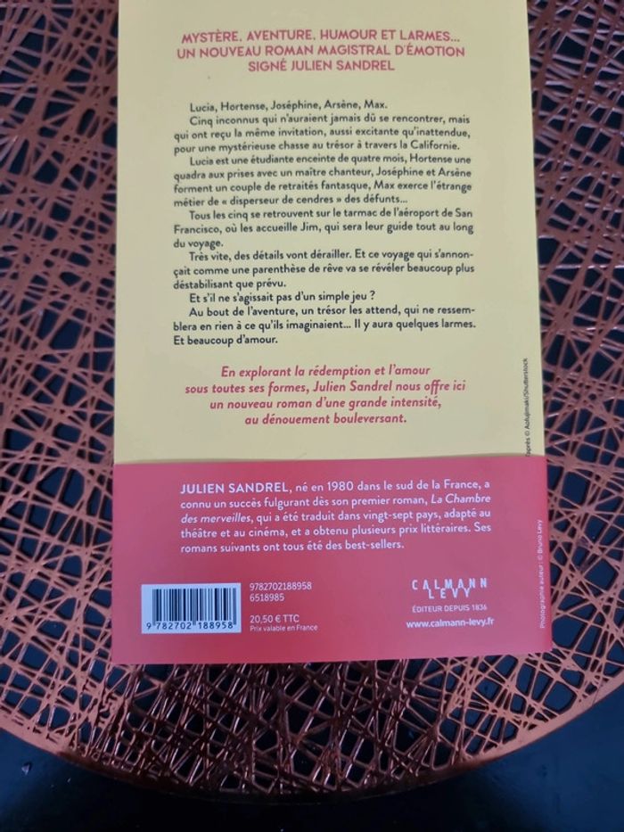 Beaucoup d'amour et quelques cendres - photo numéro 2