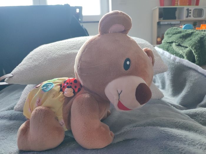 Ourson qui marche à 4 pattes - photo numéro 2