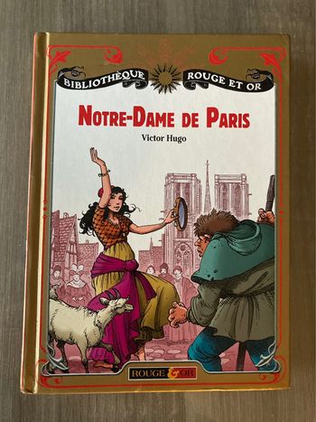 Livre notre-dame de Paris