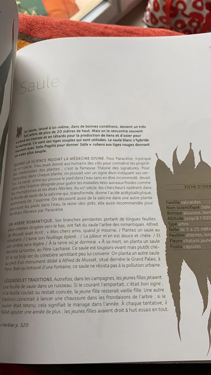 Livre mon herbier 48 plantes à connaître, à collectionner et à conserver tana éditions - photo numéro 8