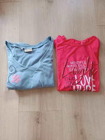Lot 2 teeshirt taille 42/44