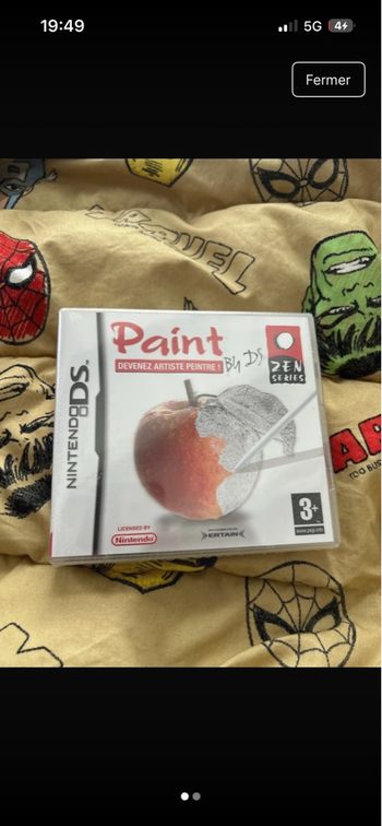 Ds Nitendo Paint 