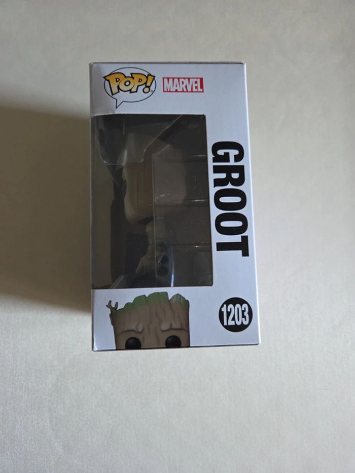 Pop GROOT - photo numéro 2