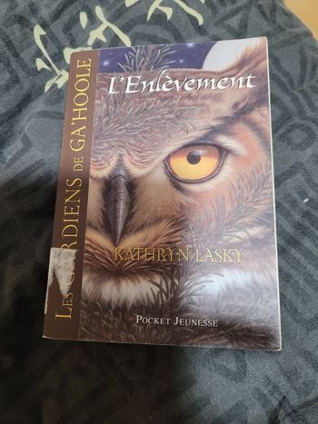 Les gardiens de Ga hoole L enlevement