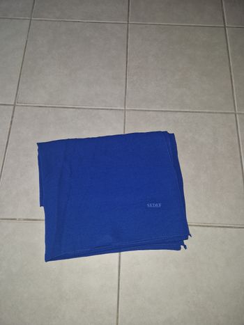Chales bleu
