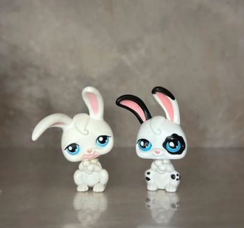 Duo Lapin Petshop