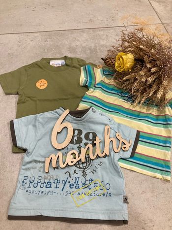T-shirt manches courtes ( lot 6-17)