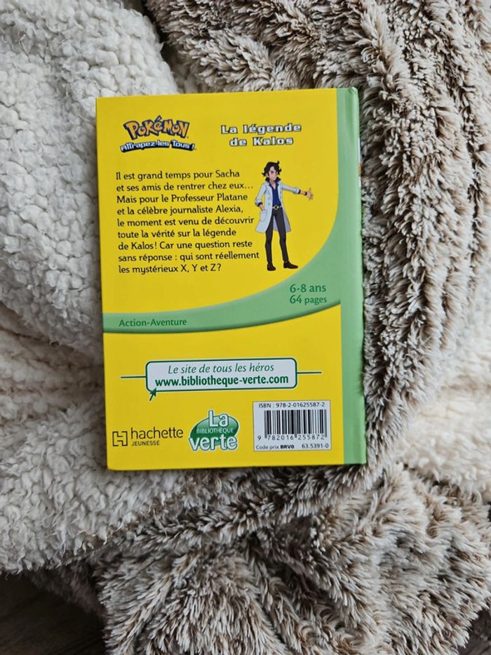 Livre pokémon - photo numéro 2