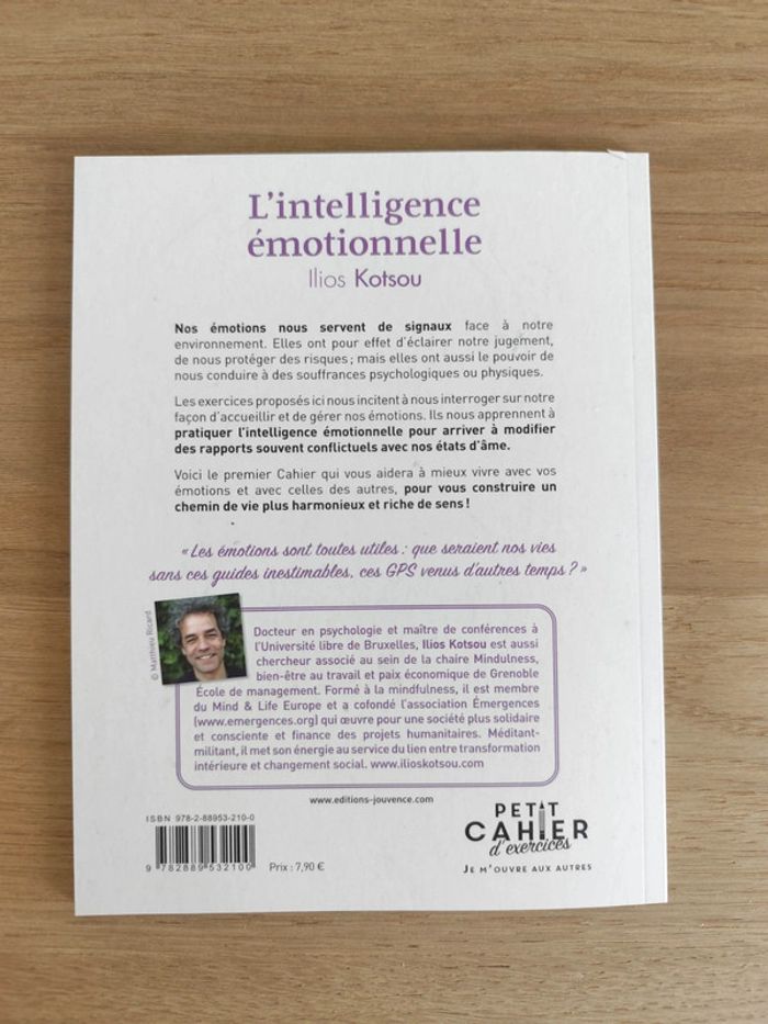 Petit cahier d'exercices L'intelligence émotionnelle de Ilios Kotsou - photo numéro 3