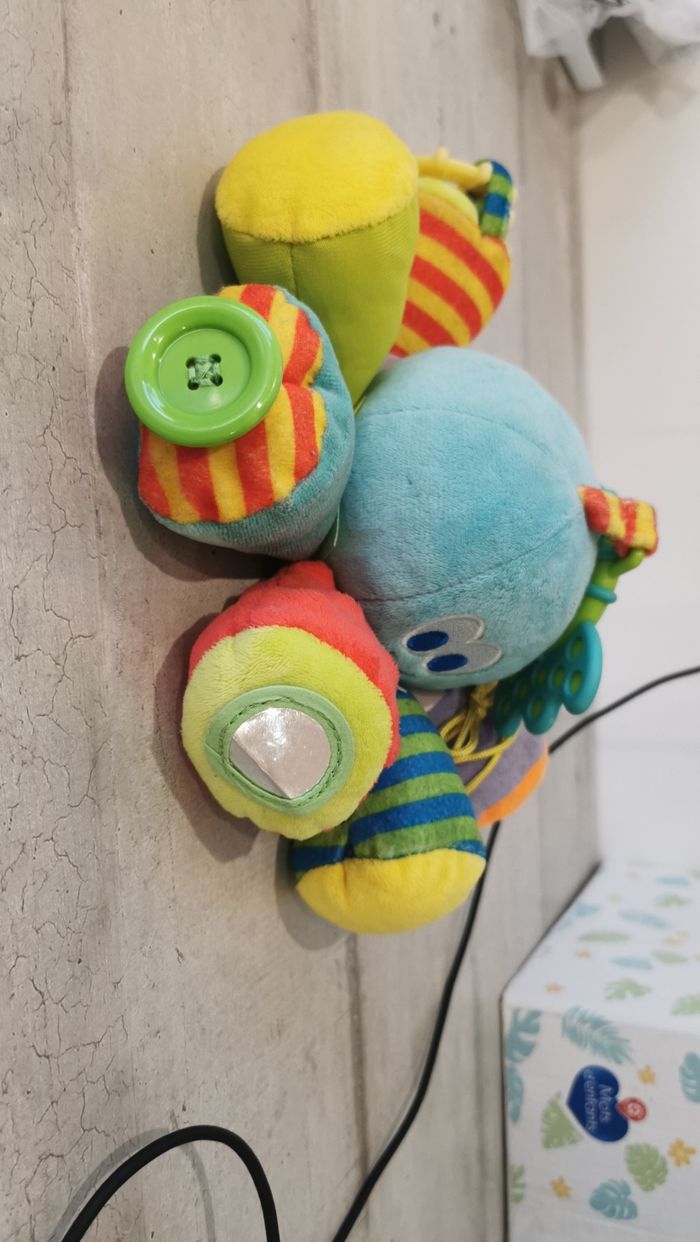 Pieuvre d'éveil - photo numéro 3