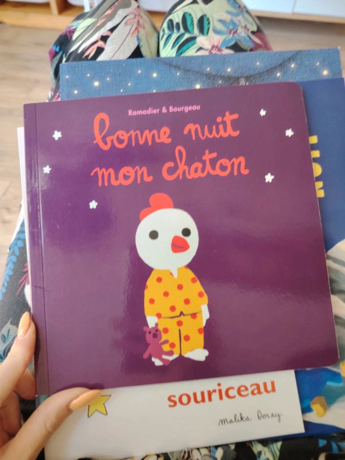 Livre "bonne nuit mon chaton "