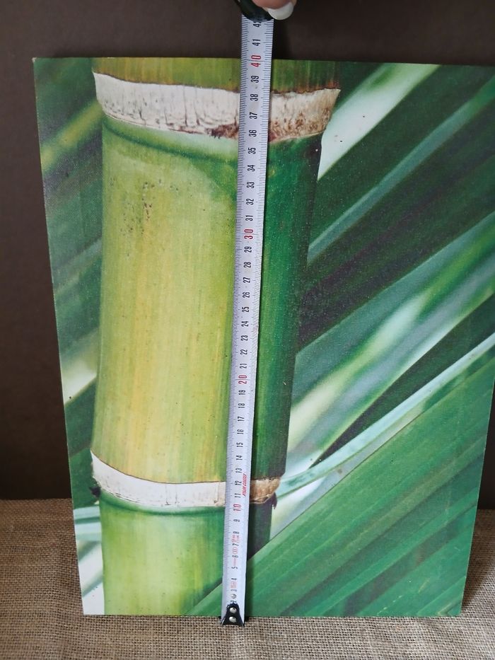 Tableau bambou - photo numéro 3