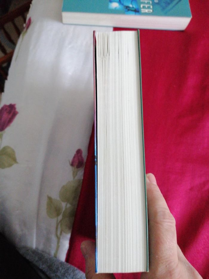 Moralité douteuse - photo numéro 4