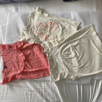 Lot 3 tee shirt brodé