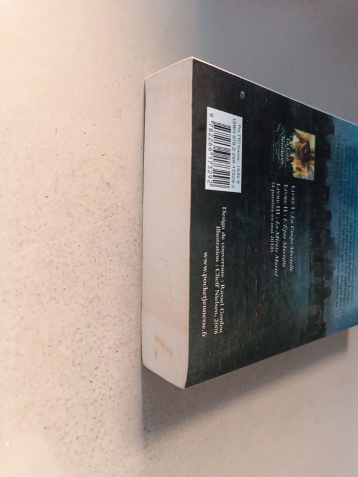 Cassandra Clare la cité des ténèbres l'épée mortelle - photo numéro 4