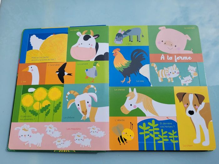 Grand livre à flaps 🦍 Mon Bel Imagier 🦜 Les animaux 🐆 73 - photo numéro 15