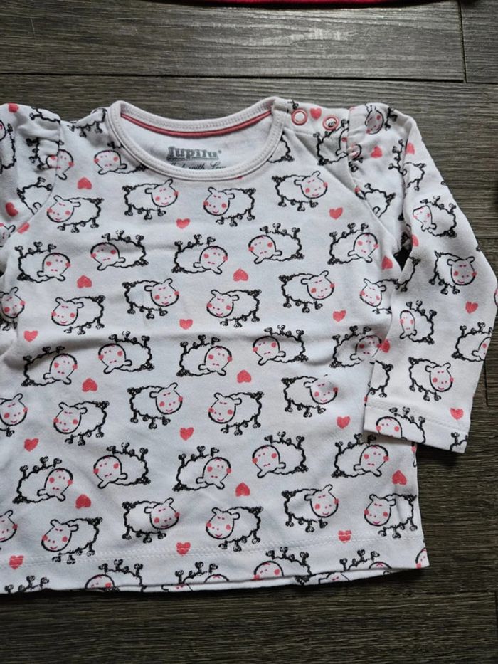 Lot de 4 tee-shirts manches longues fille taille 6 mois - photo numéro 5