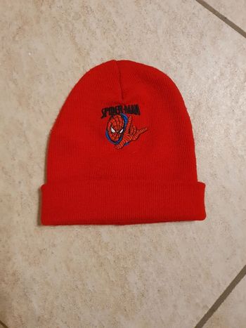Bonnet Spiderman
