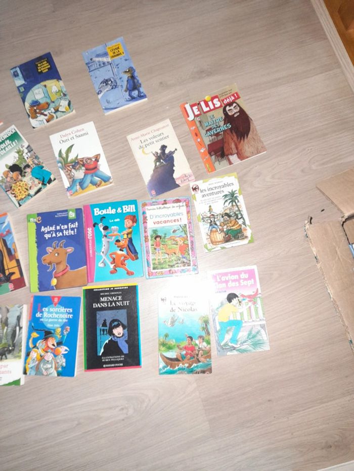 Lot 25 livres 7/15 ans - photo numéro 5