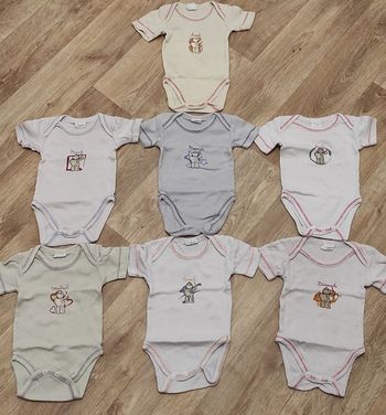 Lot bodies manche courte mixte