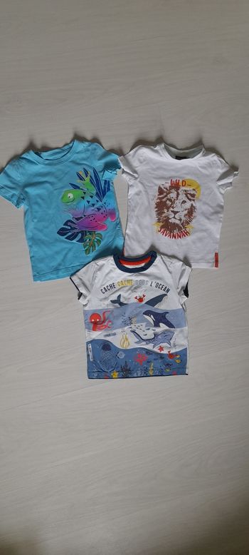3 Tee-shirt T 2 ans