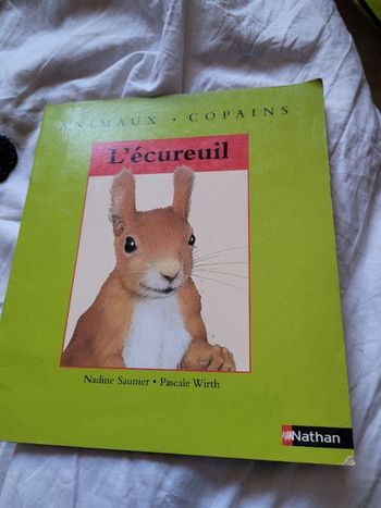 Animaux copains l ecureuil