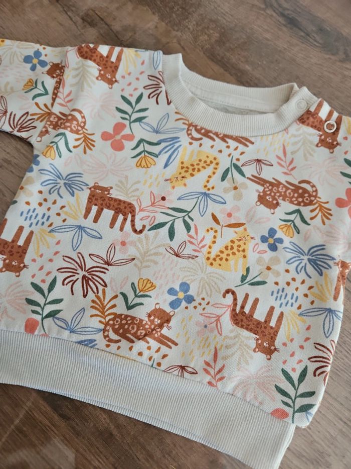 Pulls - photo numéro 2