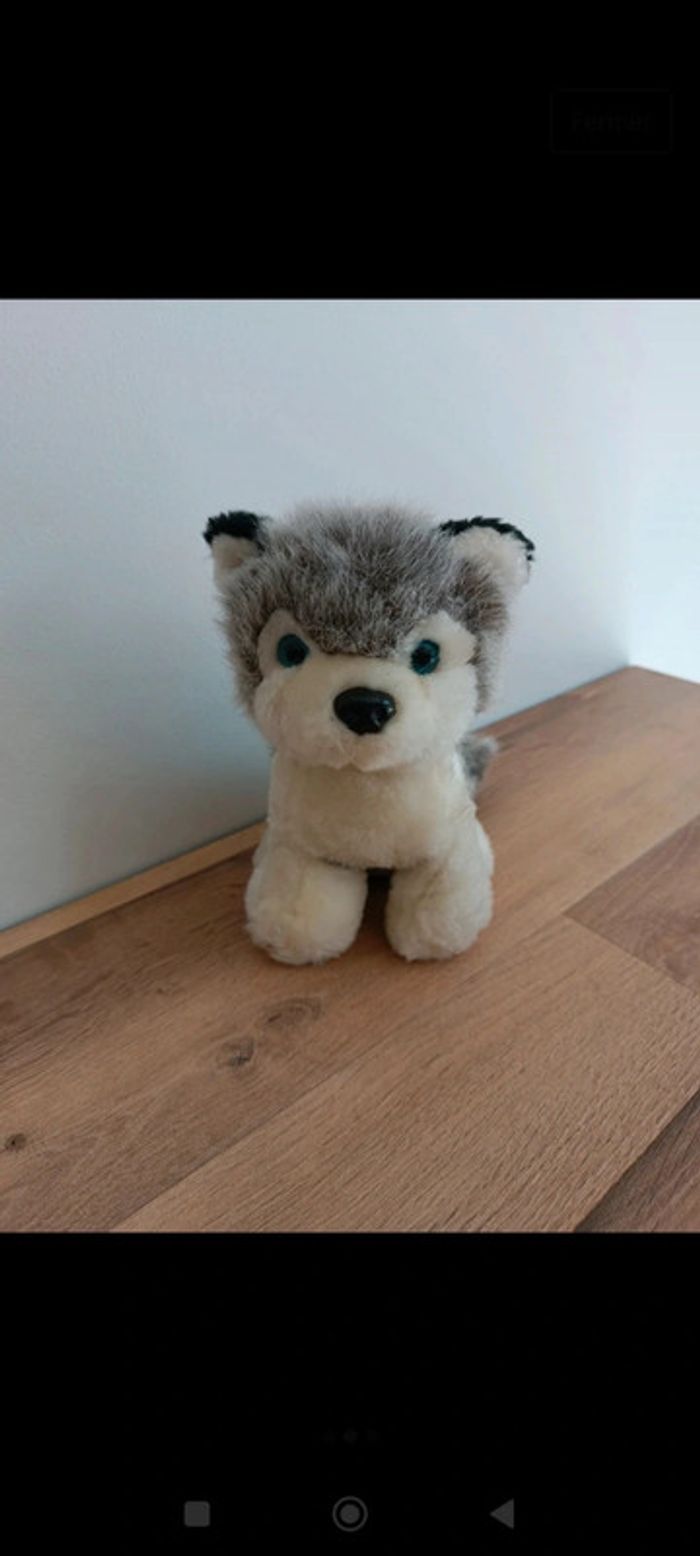 Peluche chien 🐕 - photo numéro 3