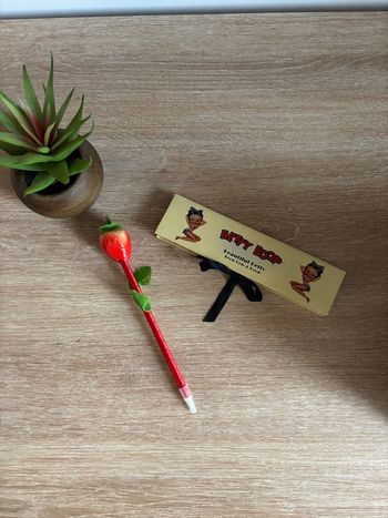 Boîte à crayon de papier Betty boop neuf collection 