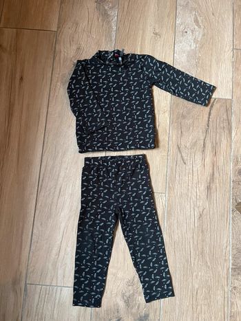 Ensemble plumes orchestra 23 mois