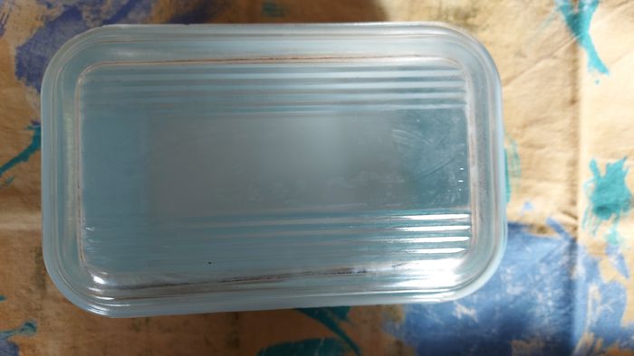 Plat pyrex - photo numéro 3