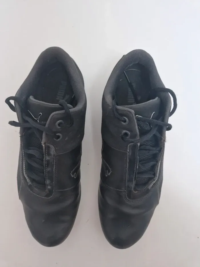 Basket Puma hommes