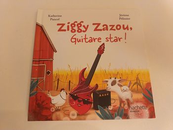 Livre " Ziggy Zazou, guitare star !" De la collection Hachette