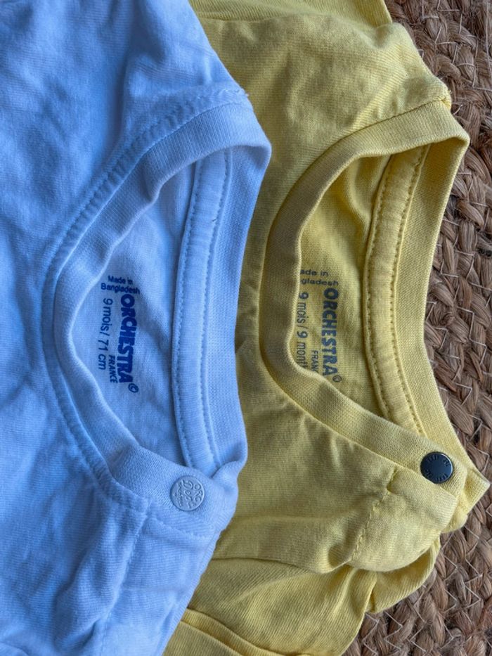 Lot 2 tee-shirts 9 mois - photo numéro 2