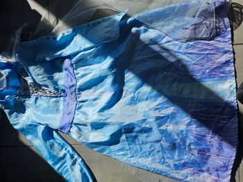 Déguisement reine des neiges