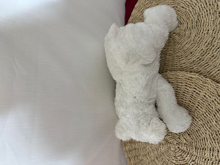 doudou ours polaire - photo numéro 2