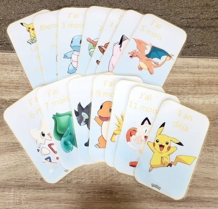 14 cartes étape - photo numéro 4